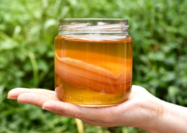 KOMBUCHA LÀ GÌ VÀ LỢI ÍCH ĐỐI VỚI LÀN DA